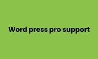 Wordpress Pro Support image 4